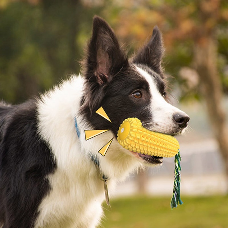 Squeaky Corn Dog Toothbrush Ch - Corn Dog Stick recensie en prijs